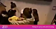 Hỗn chiến giữa nhiều phụ nữ ở Nghệ An: Công an triệu tập, làm rõ vụ ẩu đả tập thể