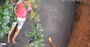 Hàng xóm dùng gốc cây đánh người ở Bảo Lộc, nạn nhân bị thương nặng phải nhập viện
