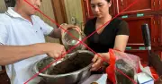 Hưng Yên Triệt Xóa Đường Dây Làm Giả Thuốc Đông Y Gia Truyền, Tìm Người Bị Hại