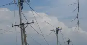 Hành Trình 50 Năm Ánh Sáng: Từ Đèn Dầu Đến Thành Phố Rực Rỡ Của EVNHCMC