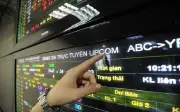 HNX chấm dứt giao dịch cổ phiếu PX1, TNM, TB8 sau khi mất tư cách công ty đại chúng