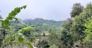 Đại hội XIV định hướng chuyển đổi tư duy giảm nghèo: Từ hỗ trợ trực tiếp sang trao quyền bền vững