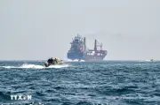 IMO Kêu Gọi Chấm Dứt Tấn Công Tàu Thương Mại, Giảm Leo Thang Căng Thẳng Ở Trung Đông