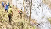 Điện Biên: Hơn 2.500 điểm nghi cháy rừng, 13 vụ thực tế gây thiệt hại 4ha