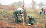 Điện Biên Thành Lập Ban Chỉ Đạo Chiến Dịch Nông Nghiệp Và Kinh Tế Tầm Thấp