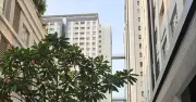Điện mặt trời tại chung cư: Cơ hội và thách thức trong bối cảnh nắng nóng