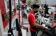 Indonesia Tuyên Bố Dừng Nhập Khẩu Dầu Diesel Từ Ngày 1/7