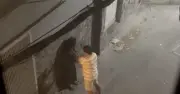 Điều tra vụ tấn công tình dục giữa đêm tại TP.HCM, cảnh báo an ninh