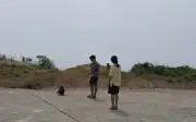 Đắk Lắk: 5 du khách bị khỉ hoang tấn công trên đường ven biển