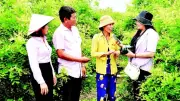 Đắk Lắk: Truyền thông tín dụng chính sách đạt kết quả ấn tượng trong năm 2025