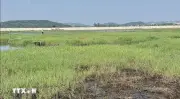 Đắk Lắk đẩy nhanh tiến độ hoàn thiện các công trình thủy lợi phục vụ sản xuất