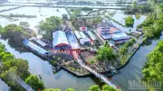 Kỷ niệm 80 năm Trận Giồng Bốm: Tinh thần 'đạo không rời đời' sống mãi