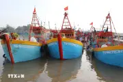 Khắc phục thẻ vàng IUU: Siết quản lý đội tàu, kiểm soát sản lượng khai thác