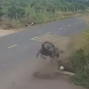 Khởi tố thiếu tá cảnh sát giao thông liên quan vụ nam sinh lao xe xuống mương tử vong