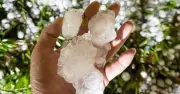 Không khí lạnh dừng, nóng ẩm quay lại miền Bắc, diễn biến thời tiết bất thường