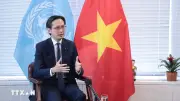 Khẳng định mối quan hệ ngày càng chặt chẽ, hiệu quả giữa Việt Nam và Nhật Bản