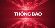 Khánh Hòa tạm giữ 371 phương tiện vi phạm giao thông