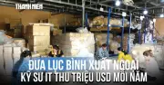 Khoác áo mới đưa lục bình xuất ngoại: Kỳ sứ IT Cần Thơ thu triệu USD mỗi năm