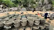 Kiên quyết xử lý các trường hợp nuôi trồng thủy sản trái phép trên vịnh Hạ Long