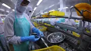 Kinh tế Việt Nam quý I/2026 tăng trưởng 7,83%, ba khu vực đều có điểm sáng