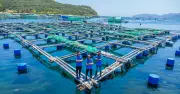 KLC Group định hình hệ sinh thái đa ngành với trọng tâm thủy hải sản, bất động sản và giải trí