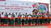 Lô bưởi da xanh Vĩnh Long đầu tiên xuất khẩu thành công sang thị trường Australia