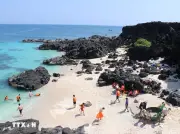 Lễ hội Du lịch Quảng Ngãi 2026: Điểm hẹn hòa quyện thiên nhiên và văn hóa đặc sắc