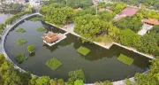 Lễ hội Đền Đô 2026: Nhiều điểm mới về an ninh, giao thông và du lịch