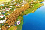 Lễ hội Sắc Sữa Hương Trà Đà Nẵng 2026 thu hút đông đảo người dân và du khách