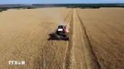 Latvia Gia Hạn Lệnh Cấm Nông Sản Nga, Belarus Đến 2027 Vì An Ninh Quốc Gia