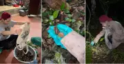 Lốc Trời Lạng Sơn xuất hiện buổi tối, khách băng rừng tìm đến di sản