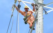 Lịch cúp điện Đồng Tháp, Tiền Giang từ 27/4 - 3/5/2026: Nhiều khu dân cư mất điện cả ngày