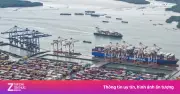 Liên danh Geleximco đầu tư cảng Cái Mép Hạ gần 2 tỷ USD, công suất 10,8 triệu TEUs/năm