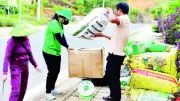 Lâm Đồng đối mặt thách thức thu gom bao bì thuốc bảo vệ thực vật sau sử dụng
