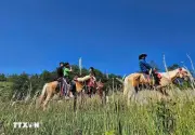 Lượng khách đến Tuyên Quang tăng mạnh dịp Giỗ Tổ Hùng Vương