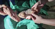 Lạng Sơn bắt giữ gần 1 tấn móng giò heo nhập lậu không rõ nguồn gốc