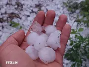 Lào Cai khẩn trương khắc phục hậu quả nặng nề sau trận mưa đá lớn