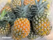 Loại quả thơm ngon đang vào mùa ở Việt Nam cực kỳ giàu dinh dưỡng