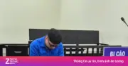 Lập hai hệ thống sổ sách kế toán, giám đốc công ty dược lĩnh 5 năm tù