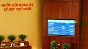 Luật Sở hữu trí tuệ 2025: Danh mục nội bộ - Bước đột phá trong quản trị tài sản vô hình