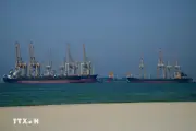 Mỹ Bắt Giữ Tàu Chở Hàng Treo Cờ Iran Tại Vịnh Oman