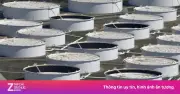Mỹ Tiếp Tục Xả Kho Dự Trữ Dầu, Cho Vay Hơn 26 Triệu Thùng Nhằm Ổn Định Giá