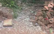 Mưa đá bất ngờ trút xuống loạt tỉnh thành miền Bắc, gây thiệt hại tài sản