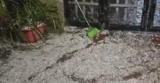 Mưa đá dữ dội tàn phá Bắc Hà, Lào Cai: Nhiều nhà tốc mái, cây trồng hư hại