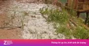 Mưa đá dày đặc phủ trắng đồi núi Sơn La, gây thiệt hại hoa màu và tài sản