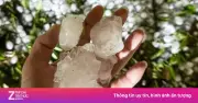 Mưa đá to như trứng gà dội xuống Lào Cai, gây thiệt hại nặng về nhà cửa và hoa màu