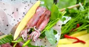 Mức luộc bao nhiêu phút để mực giòn sần sật không bị teo nhỏ