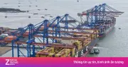 MSC - Hãng vận tải container lớn nhất thế giới đầu tư vào siêu cảng Cần Giờ