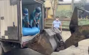 Một tấn lòng lợn đang phân hủy sắp tuồn ra thị trường trước ngày nghỉ lễ