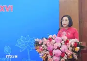 Nữ Đại Biểu Quốc Hội Khóa XVI: Chủ Động, Bản Lĩnh Và Sát Thực Tiễn